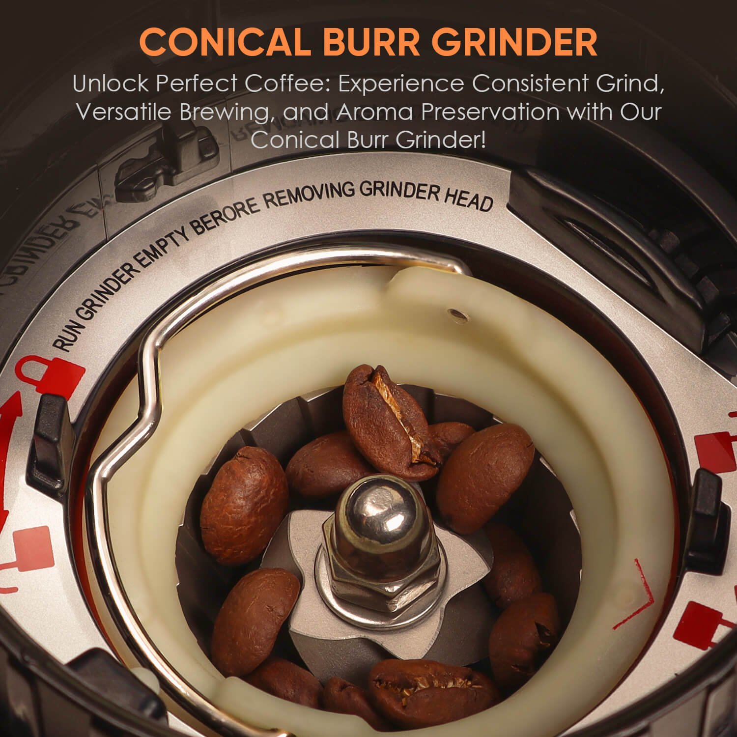 Professional conical burr grinder mechanism with coffee beans - best budget burr grinder 2026